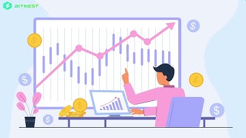 Two core products in the BitNest ecosystem: BitLoop and SavingsBox