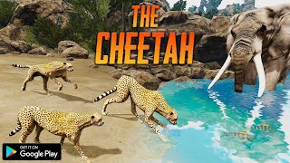 The Cheetah Animal Simulator By Yusibo Simulator Games screenshot 5