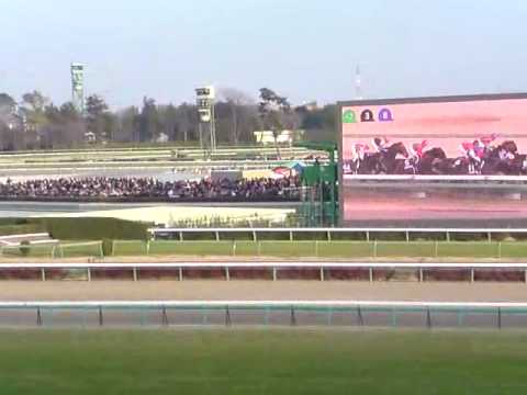 有馬記念2009：ドリームジャーニーがブエナビスタを破る