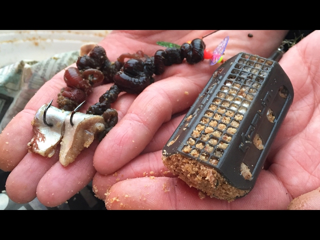 Feeder Fishing From The Beach! 