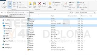 Extract only the files file.gif and file.avi from the TEST4Udata.zip compressed file into the...