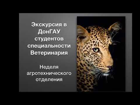 Экскурсия в ДонГАУ
