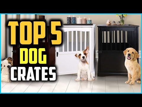 top-5-best-dog-crates-review-in-2020