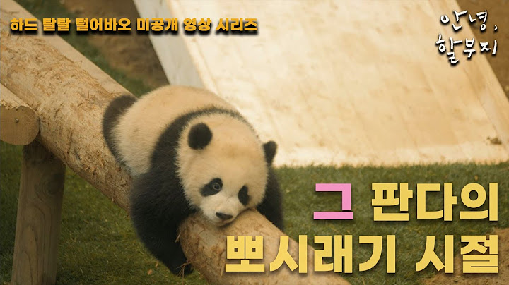 [안녕,할부지] 하드 탈탈 털어바오 미공개 영상 시리즈 26편 - 그 판다의 뽀시래기 시절