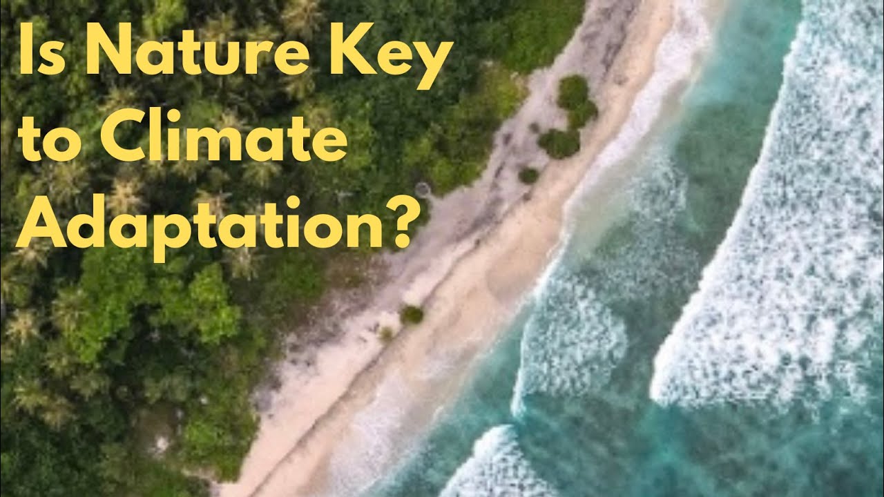 Is Nature Key to Climate Adaptation? - YouTube