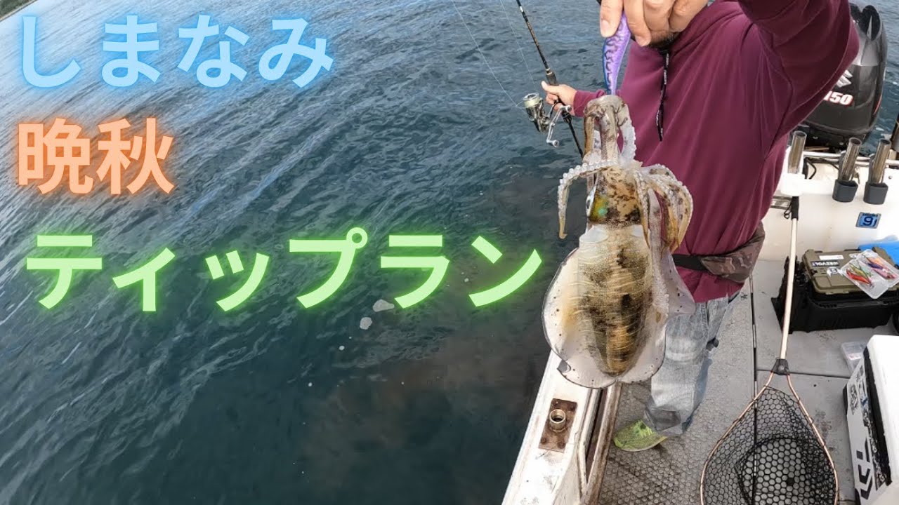 しまなみ晩秋ティップラン