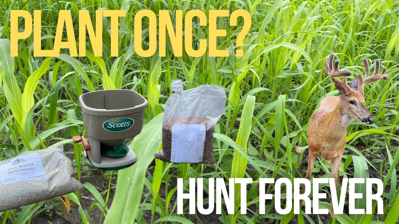 How To Plant A 2 Phase Screen Plot For Deer & Access | Grows Back Year ...