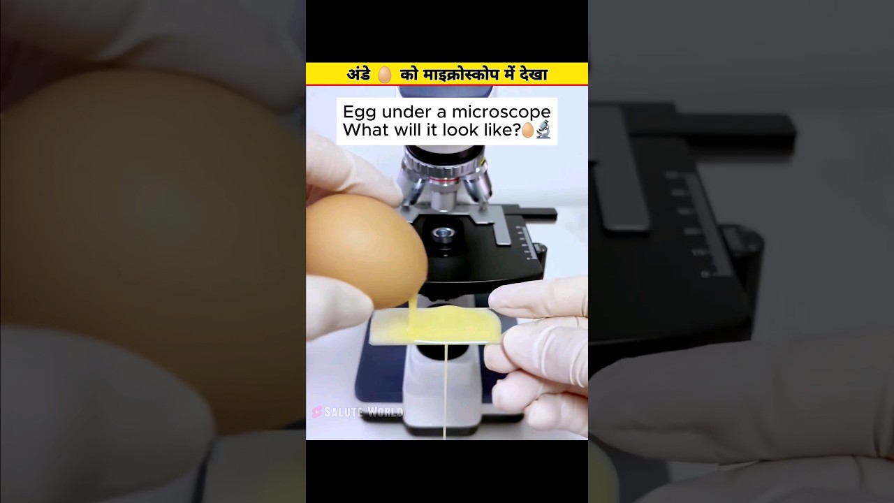 unknown facts of the world 