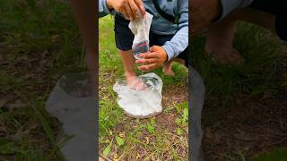 Genius Wilderness Survival Lifehack 🌲 #campping #bushcraft #survival