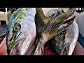 대방어 21kg 해체 후 회뜨기 , yellowtail , ブリ , sashimi fish