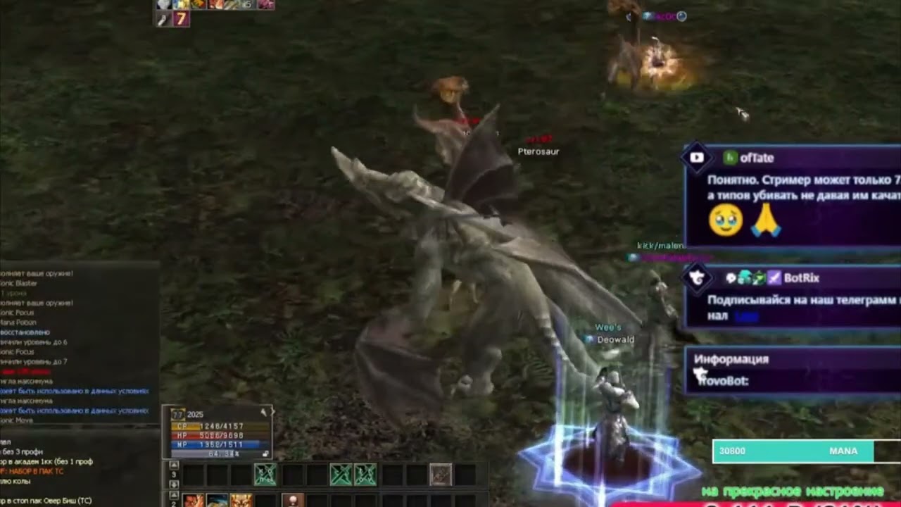 Lineage 2 Duelist 1 vs 5  x25 forceplay