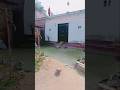 मंजिल तो रही ढूंढ लेते हैं रास्ते मगर खो जातेहैं दिल तो पागल है #whitechallenge #seechewal #viral #