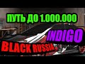 ПУТЬ С НУЛЯ ДО МИЛЛИОНА НА БЛЕК РАША ИНДИГО BLACK RUSSIA INDIGO 1 ЧАСТЬ!
