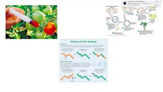 GMOs presentation