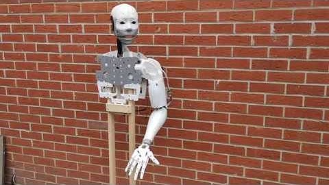 Civrays InMoov - Arm Demo