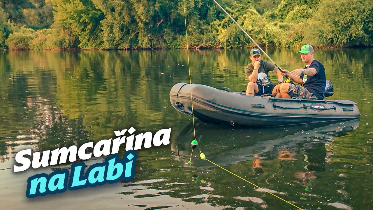 O lovu sumců na Labi a ukázka chytání s live sondou / Zkoušíme živou rybu i pijavice. Rady a tipy!