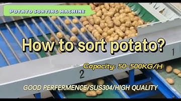 potato grader price | root vegetable sorting machine | potato sorting machine|potato sorter for sale
