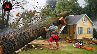 Idiots With Chainsaws: Tree Cutting Fails | Extreme Dangerous Logging Truck Fails #69