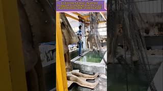 Looking For High-End Silicone Art Companions?