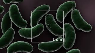 How Small is a Nanoparticle