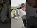 Can You Have a Penguin as a Pet? 😳