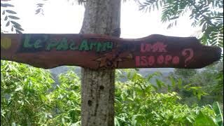 malang selatan story wa keindahan alam kabupaten malang.#malang