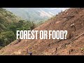 Deforestation During Laos’s Burning Season 🌳🔥 Planting Chilli W/ Khmu Farmer |Travel Se Asia 2021