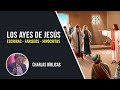 Los AYES de Jesús - La Religiosidad y La Hipocresía // Charlas Bíblicas