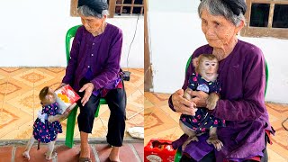 Monkey Kaka's Kind Deed: Bringing Joy to the Lonely Old Lady