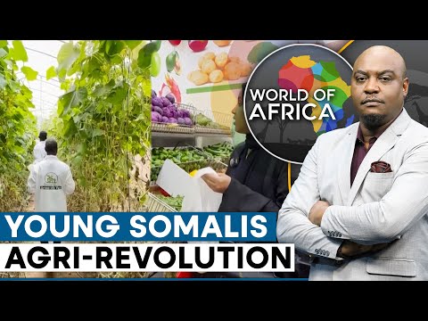 Greenhouses improving food security in Somalia | World Of Africa