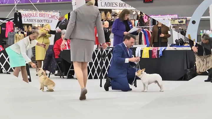 Debra Mattingly - Loving Dog Handling - french bul...