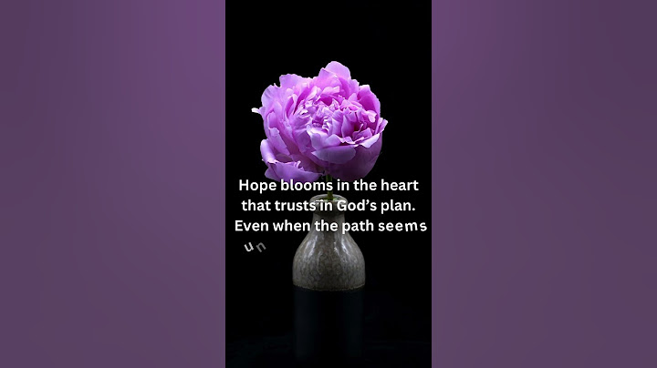Hope in God’s Plan: A Spiritual Verse to Light Your Path #upliftingcontent
