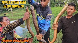 BARU TERJADI INI❗ EPISODE MANCING BELUT MONSTER PALING GACOR DAN FENOMENAL