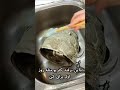 خانه تکانی عید و ترفندهای خانه داری ترفند خانه تکانی خانه داری عید تمیزکاری