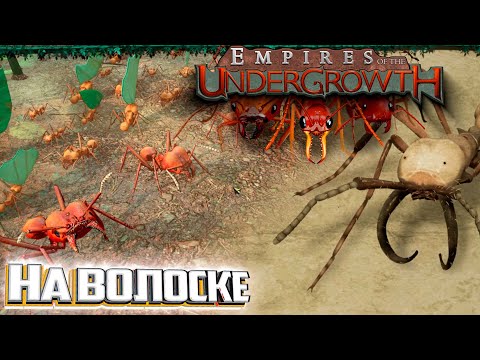 Видео: СБОР УРОЖАЯ 3.1 Безумие - Empires of the Undergrowth #5