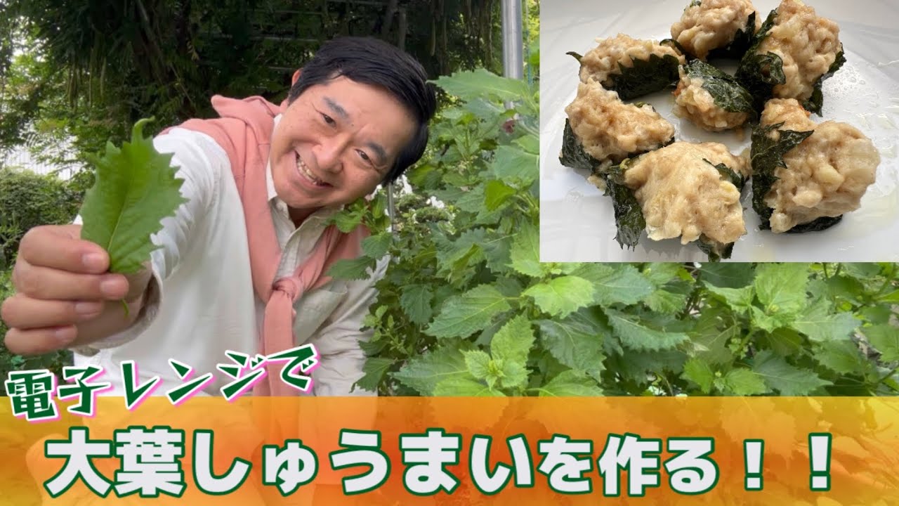【しゅうまい】大葉でお肉を包んでレンジでチンして大葉しゅうまいを作ります！