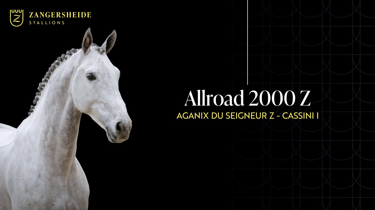 Allroad 2000 Z - Stallion Presentation 2025 ENG - YouTube