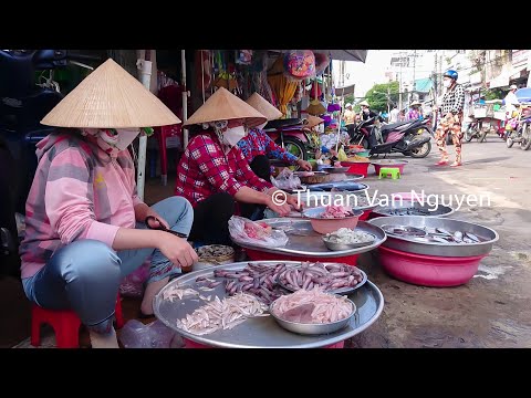 Vietnam || Daily life in My Tho (EP6) || Tien Giang Province