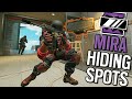 THIS Is How PROS USE MIRA