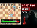 The Most Fun Gambit to Crush the Sicilian Defense - The Ginsberg Gambit