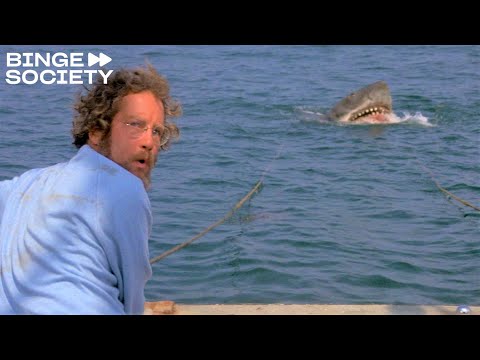 Jaws: Hai gegen Fässer
