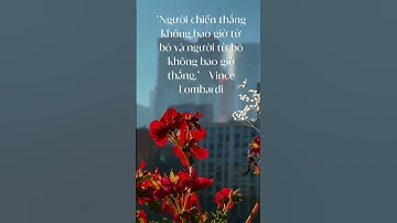 Những câu nói truyền động lực cho công việc _ 3 - @nhungcaunoihayngamcuocsong