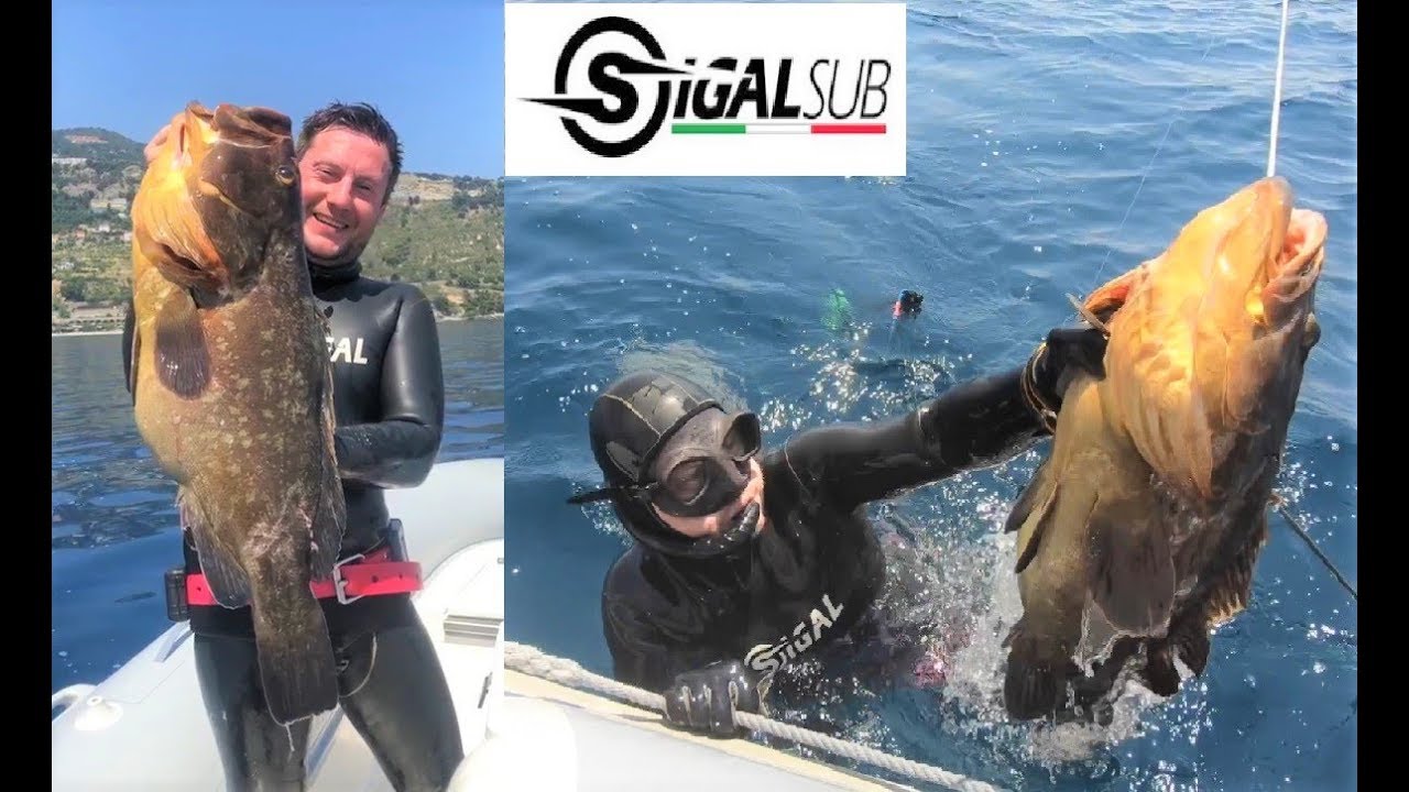 "THE GROUPER" SPEARFISHING ITALY ENRICO CRETA SIGALSUB TEAM