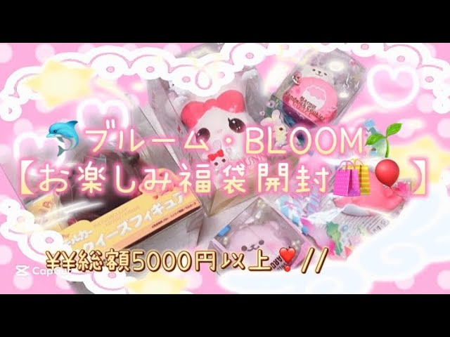 BLOOM】スクイーズお楽しみ福袋開封🌱 - YouTube