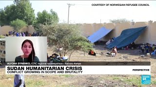Ethnic violence in Sudans Darfur region: Crisis is drowning in other headlines • FRANCE 24