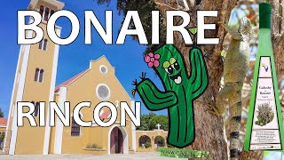 VAKANTIE BONAIRE #7🌴 RINCON Cadushy Distillery, Museum CHICHI' TAN, Uitzichtpunt Cruz Seru Largu, 4K