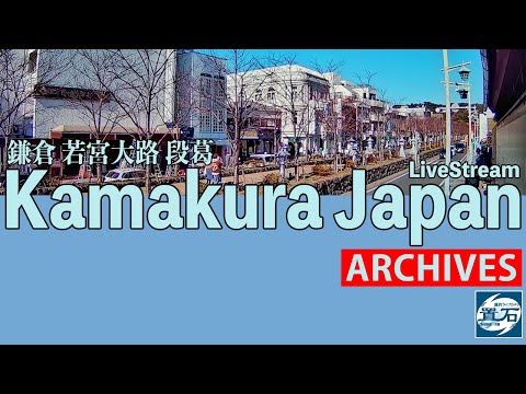 🏙️【アーカイブ専用配信】鎌倉 小町 若宮大路 「段葛」ライブカメラ Kamakura Dankazura LiveCam Archive 2025-04-18-07:30〜 #連休