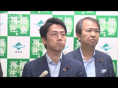 語録 小泉 進次郎