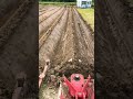 Powerful Ridge And Furrow 2 In 1 Plow Satisfying Short