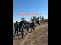 🤣搞笑农村生活😂#funny #幽默风趣 #正能量剧情 #comedy #prank  #农村生活 #爆笑